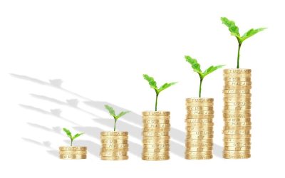 Budget – Precept Report 2023-24
